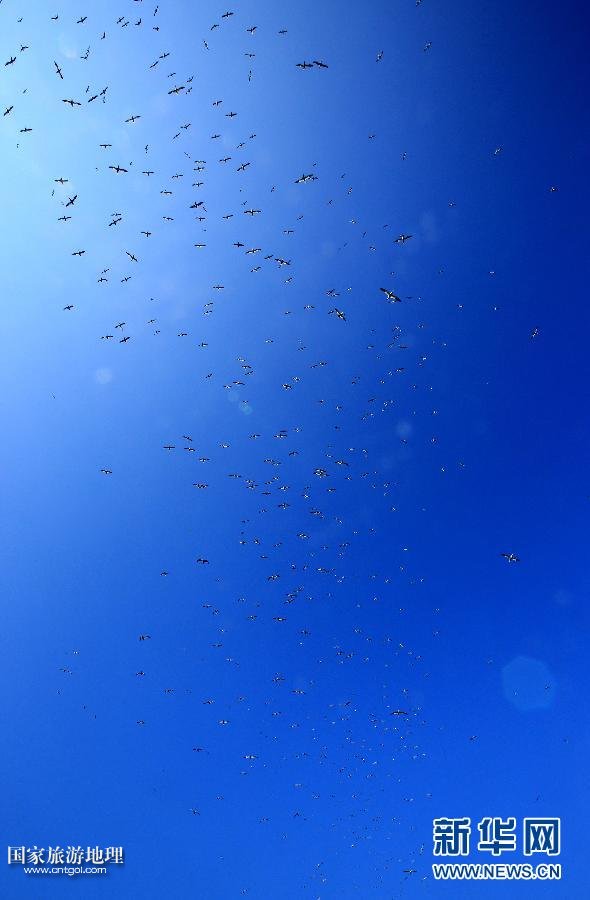 （國際·關注文化遺產(chǎn)）（11）聖基爾達島：被遺棄的文明